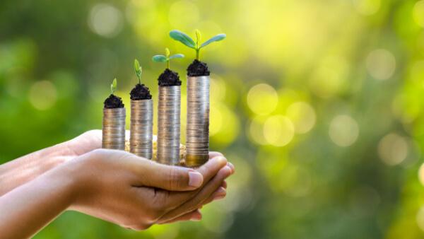 Image of Annuities Advisory